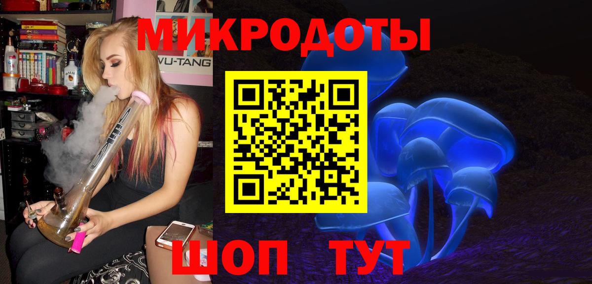 Галлюциногенные грибы Psilocybine cubensis Шадринск