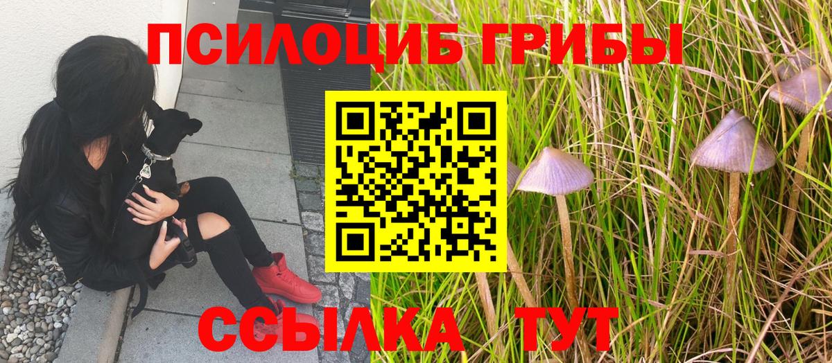 Псилоцибиновые грибы ЛСД  Псилоцибиновые грибы прущие грибы  Вход с VPN  Шадринск 